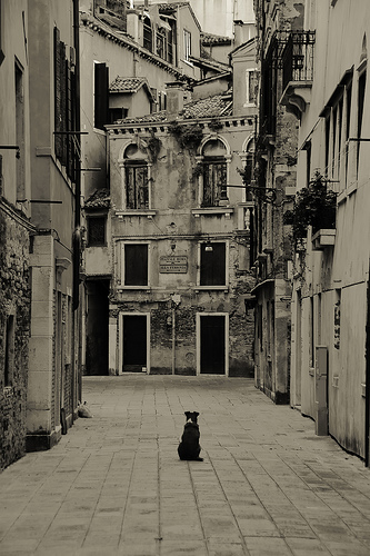 An Italian Street by Jackctk