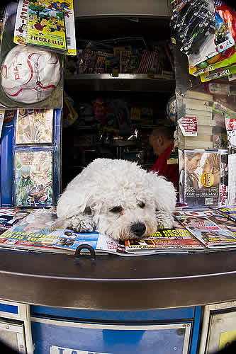 A Newsstand in, Umbria, Italy