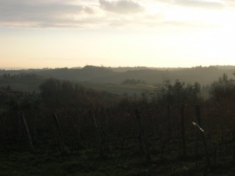A Tuscan Panorama