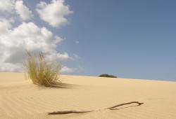 See Sardinina's 100 metre / 300 ft high sand dunes