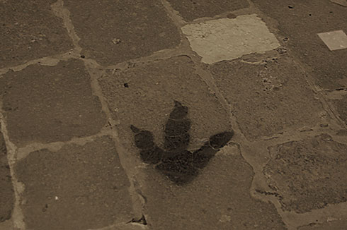 Can You Guess Where this Footprint can be Found in Italy?