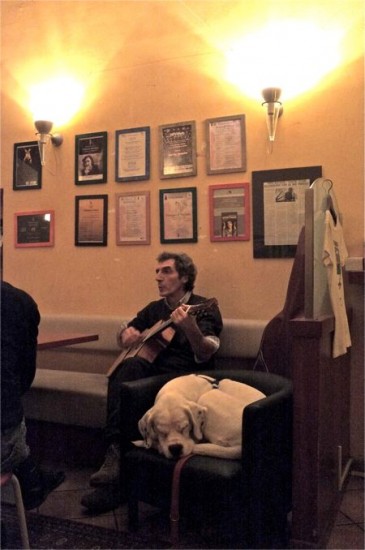 Guitarist and Dog