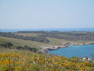 Orte Bay Puglia, Italy